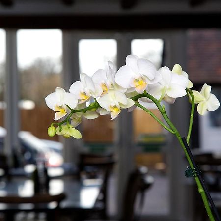 The Maple Manor Hotel 크롤리 외부 사진