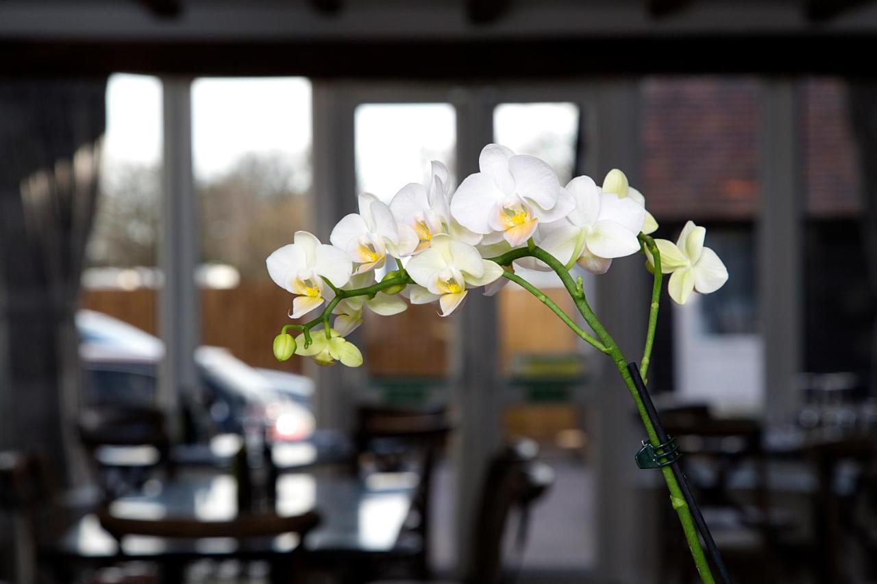 The Maple Manor Hotel 크롤리 외부 사진